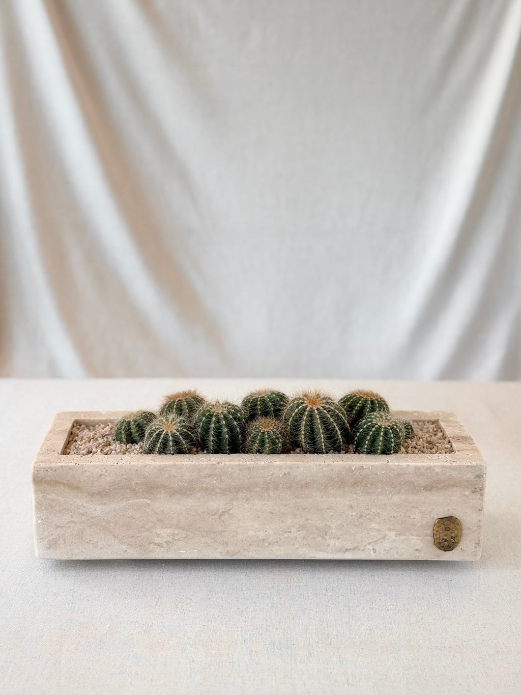 Parodia in Travertine