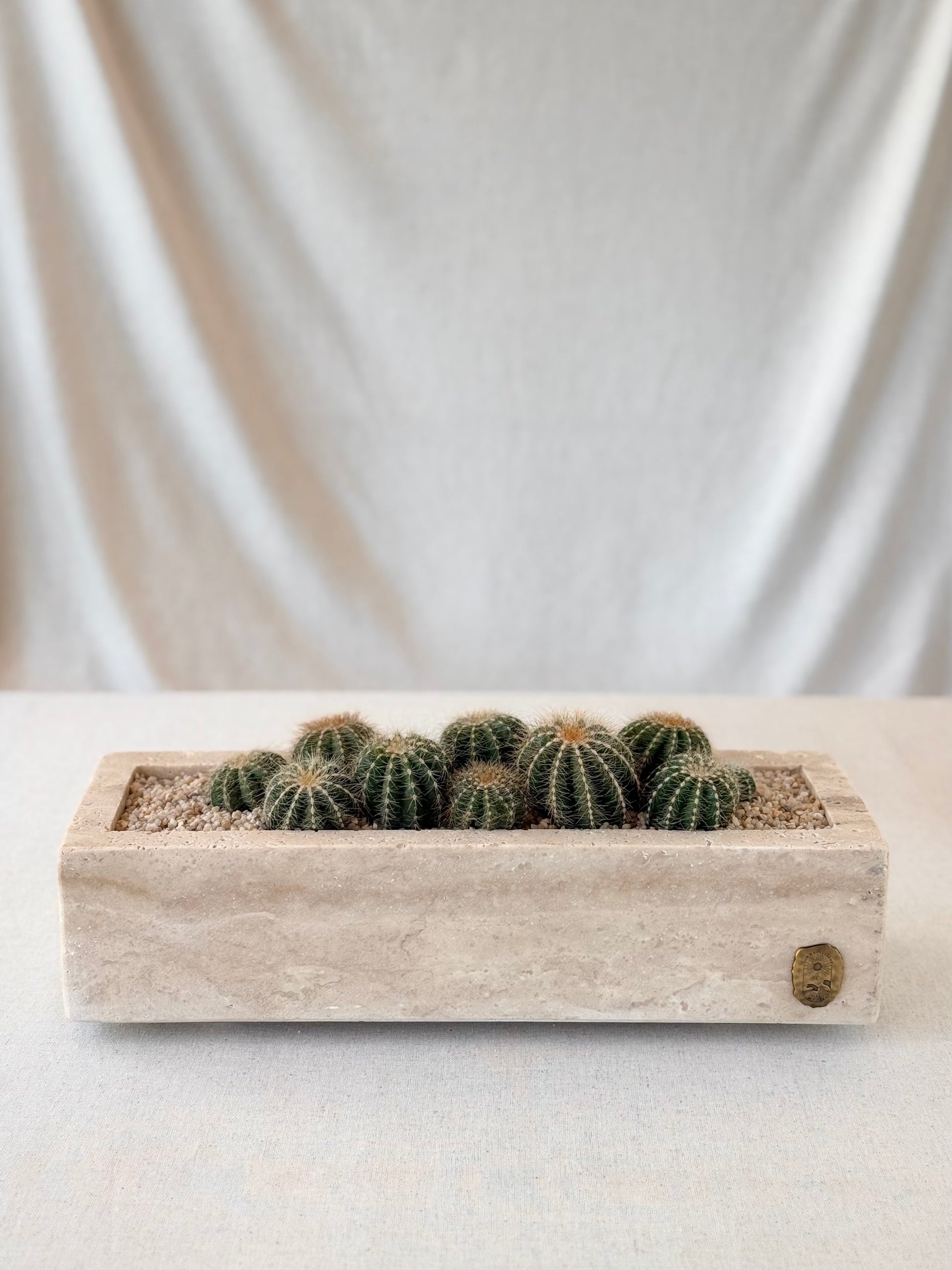Parodia in Travertine