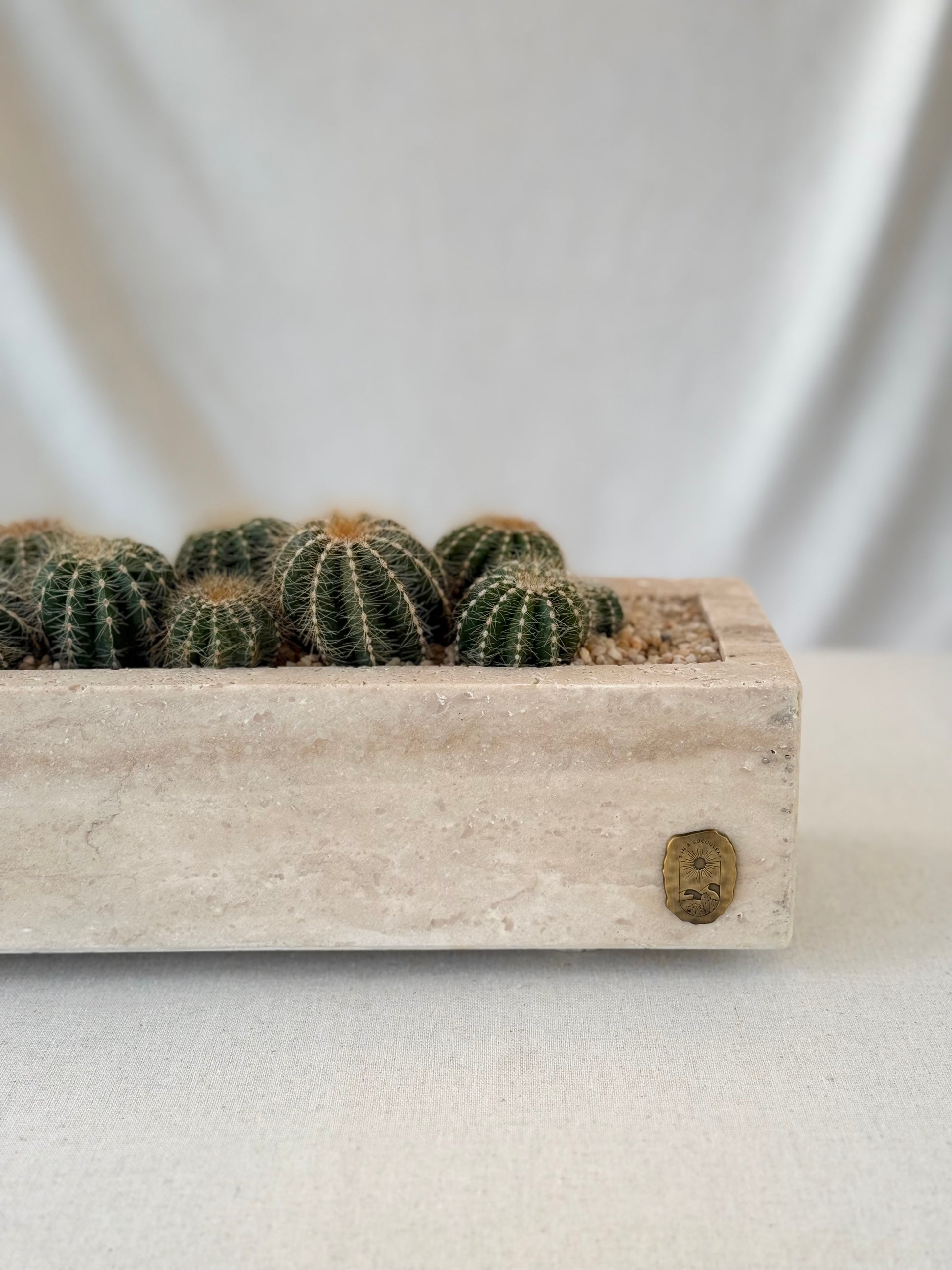 Parodia in Travertine