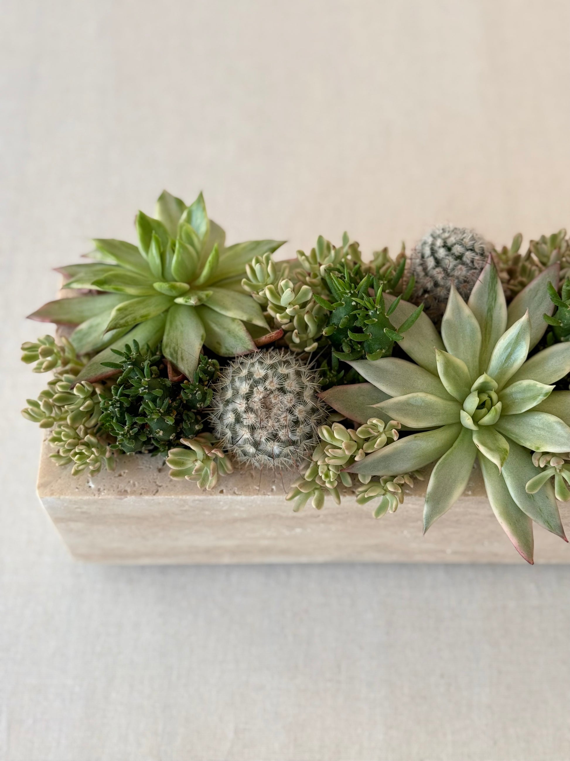 Beige travertine pot