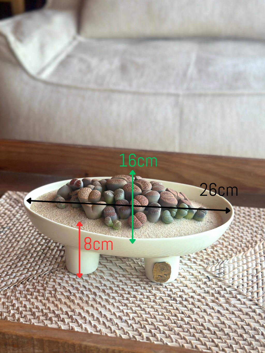 White Ceramic pot