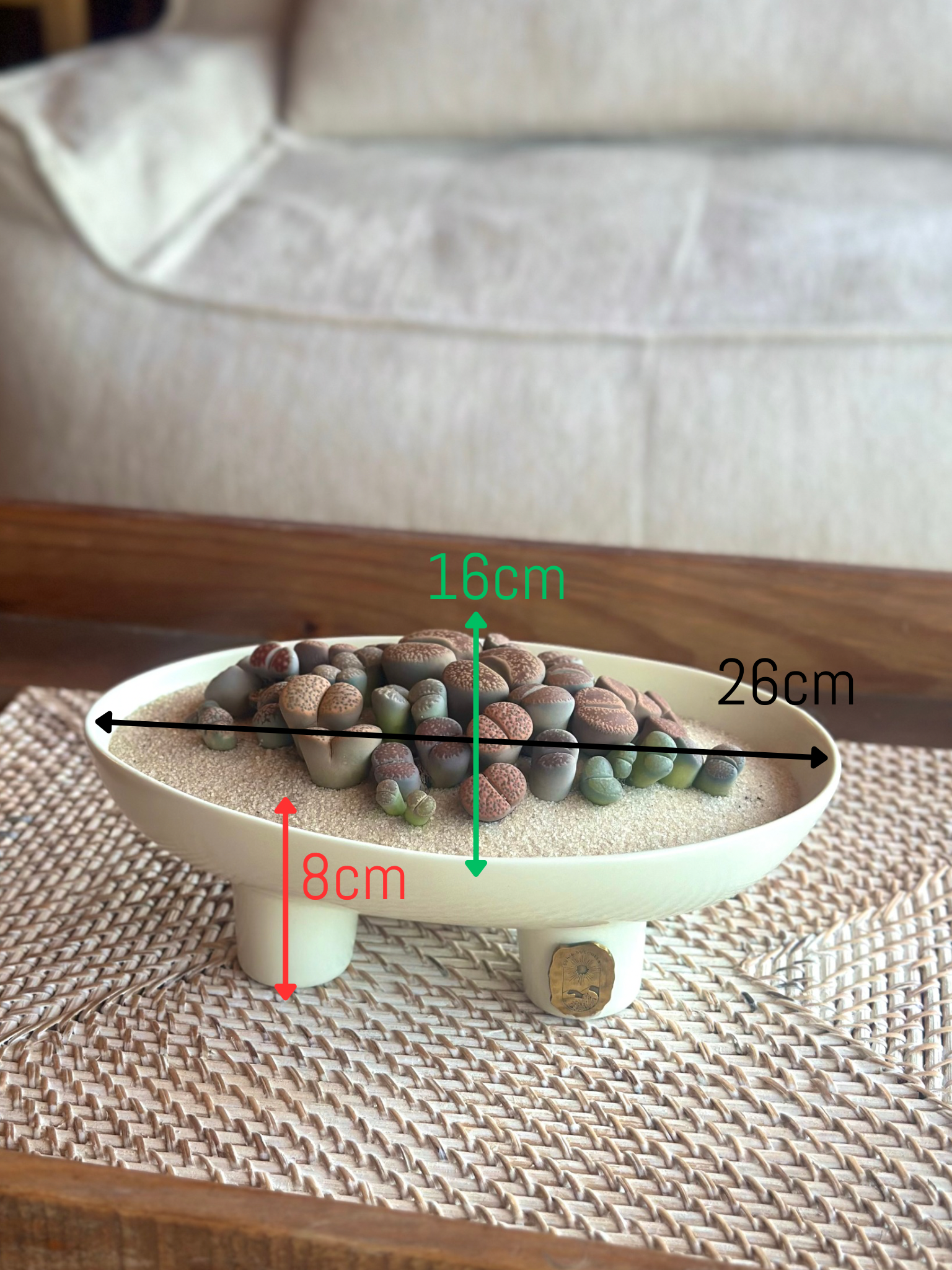 White Ceramic pot