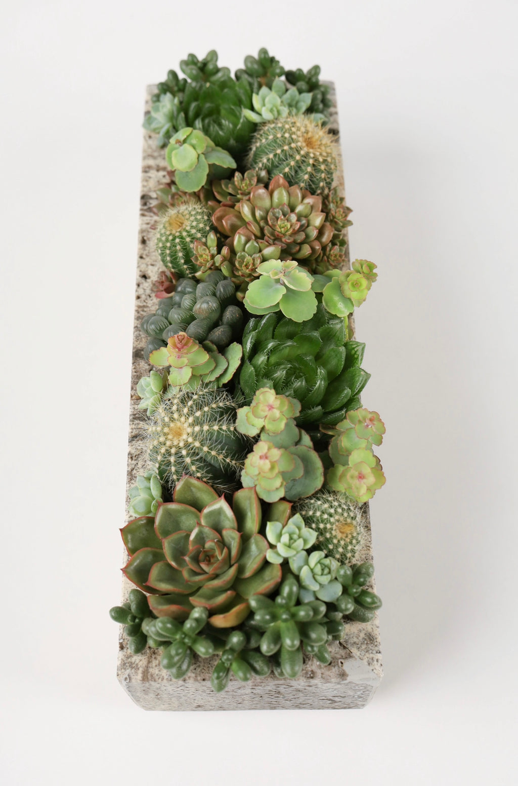Medium Rectangle Travertine Pot