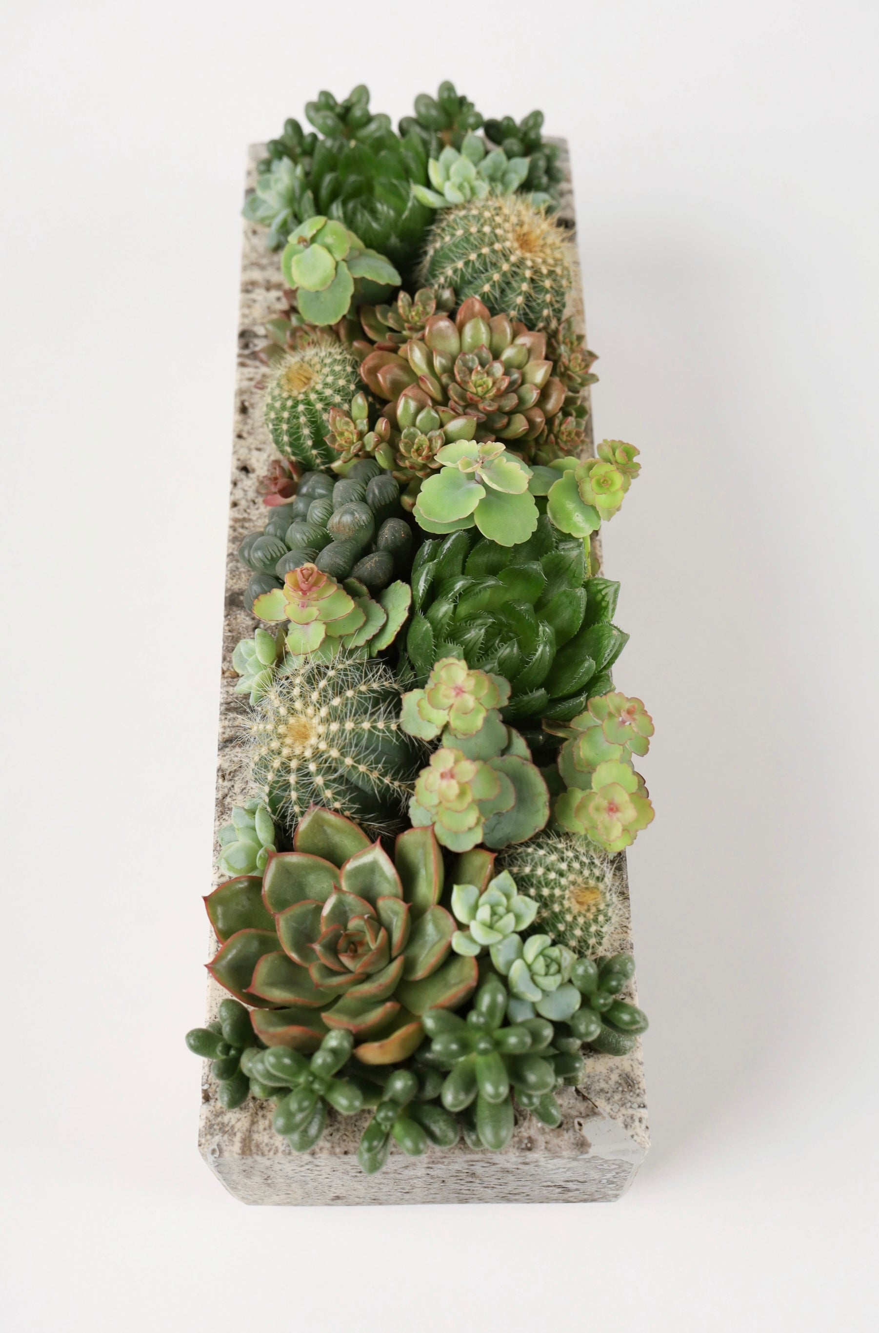 Medium Rectangle Travertine Pot