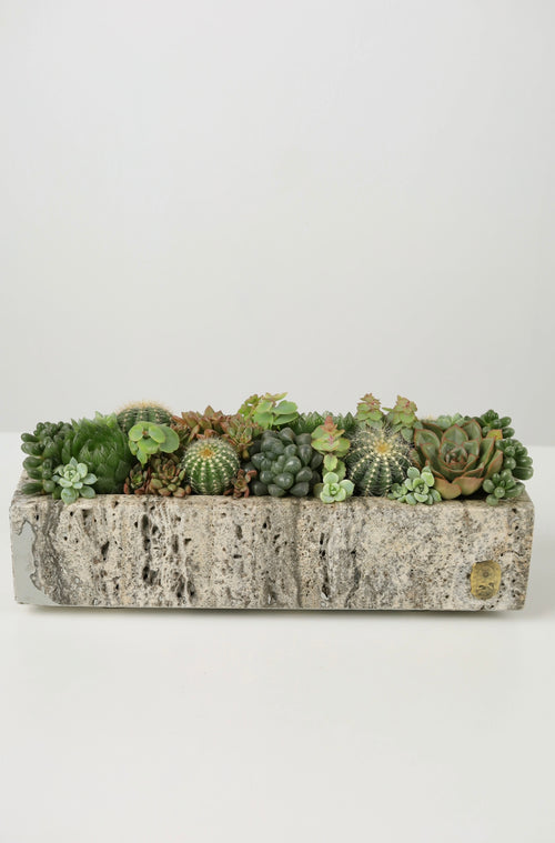 Medium Rectangle Travertine Pot