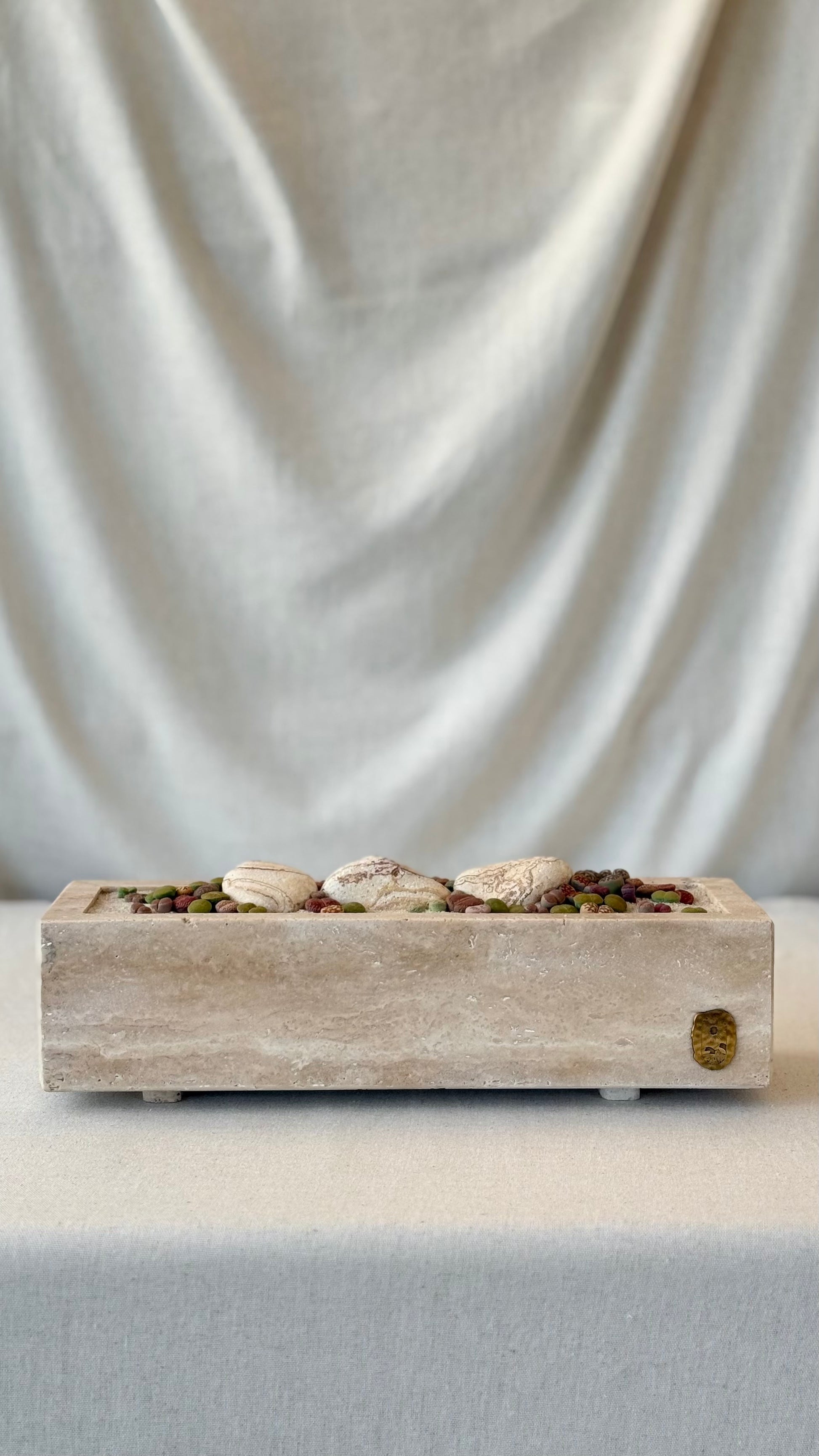 Beige Travertine and Lithops arrangement