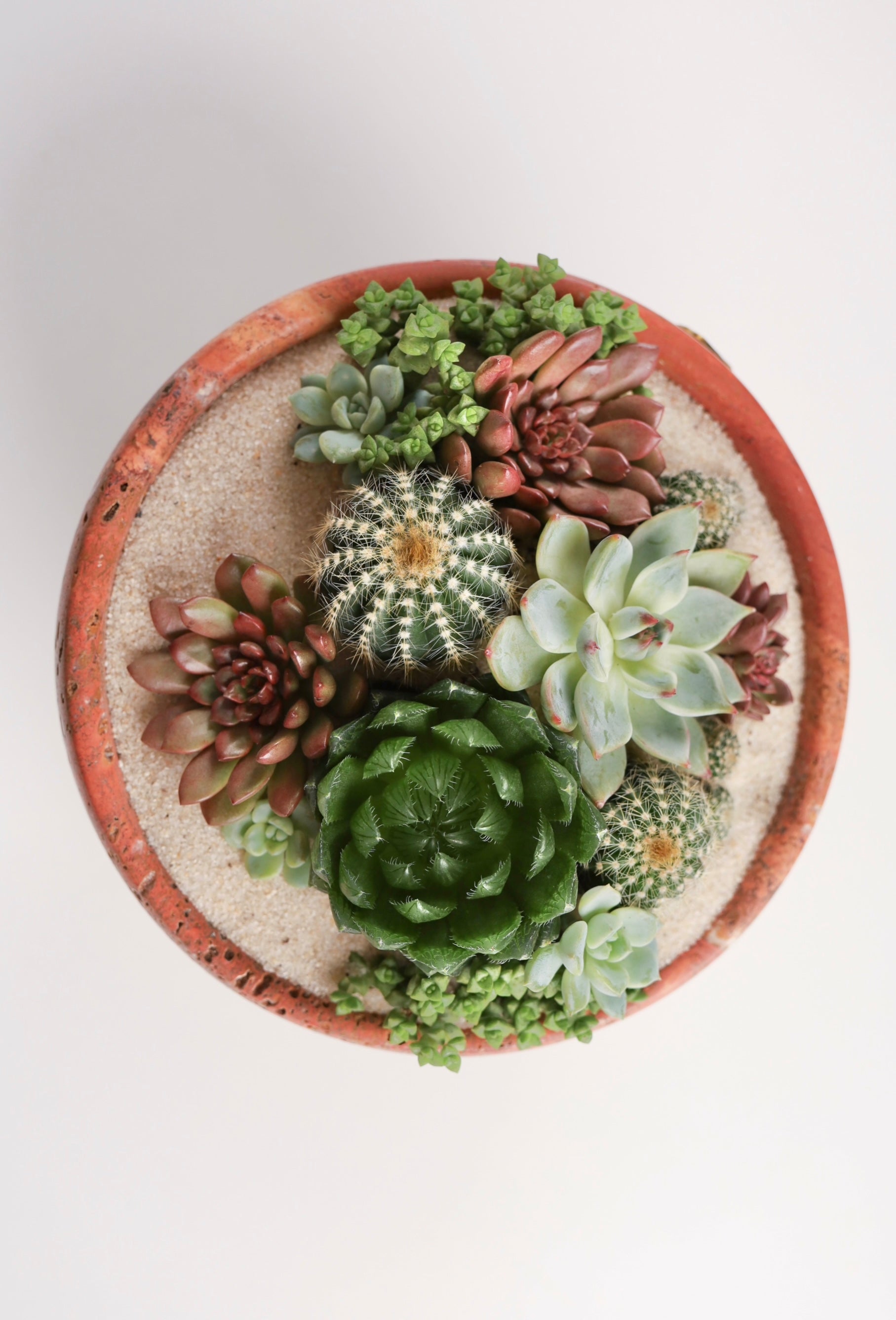 Round Red Travertine Pot