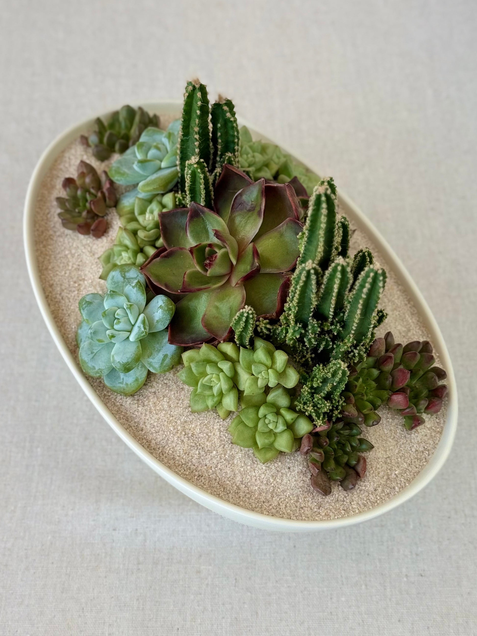 Oval Heaven