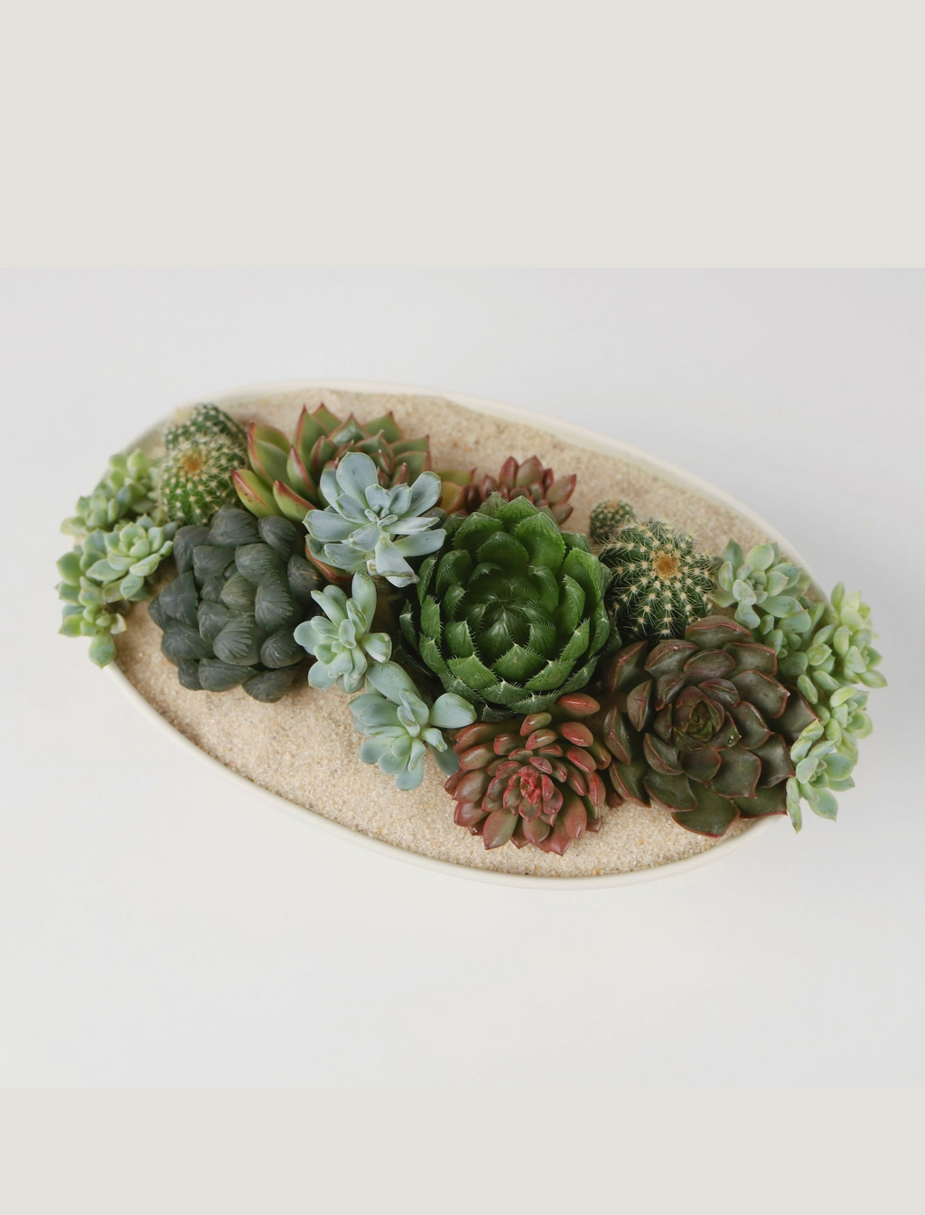 White Ceramic pot