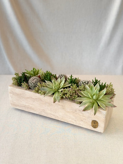 Beige travertine pot