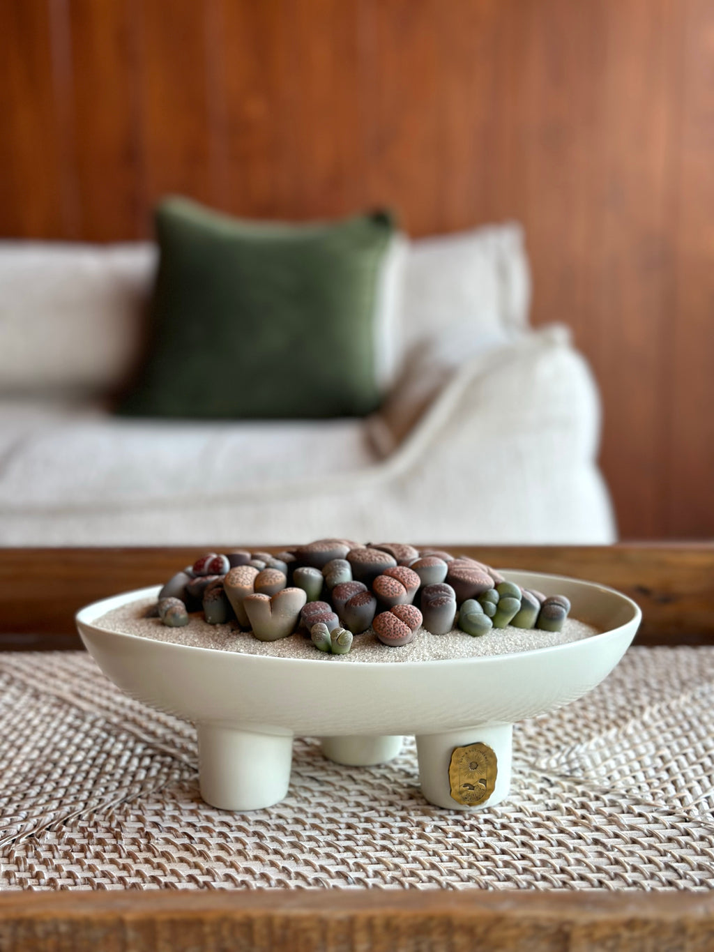 “Living stone” Arrangment