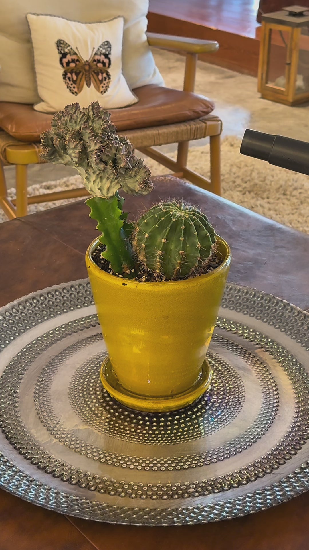 Watering device